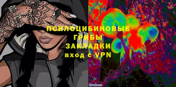 соль ск Липки