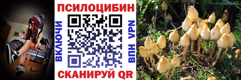 Псилоцибиновые грибы мицелий  как найти закладки  Коломна 