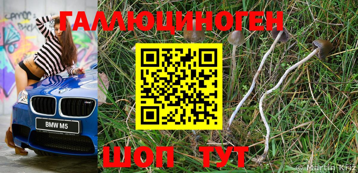 Галлюциногенные грибы Magic Shrooms  Коломна  Псилоцибиновые грибы ЛСД 