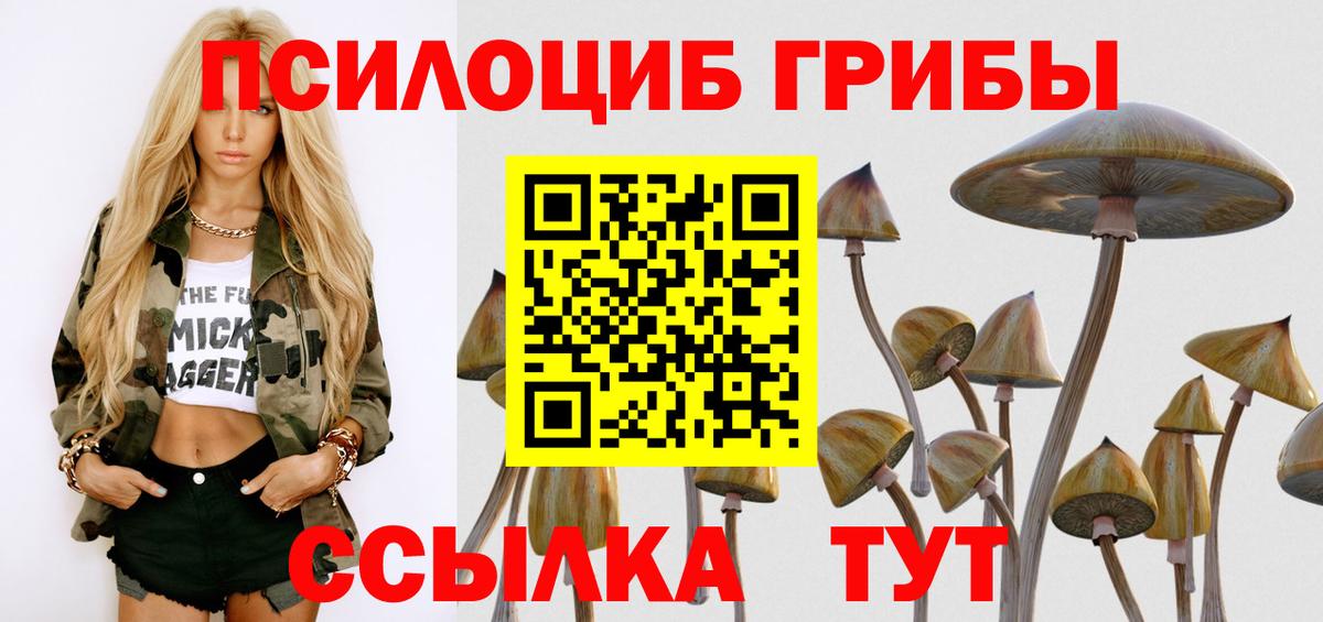 Псилоцибиновые грибы мухоморы Коломна