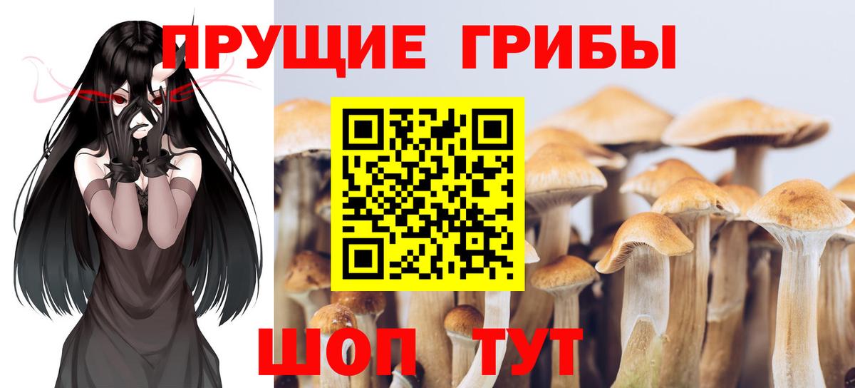 Галлюциногенные грибы Cubensis  Вход с VPN  купить   Коломна  Галлюциногенные грибы прущие грибы 